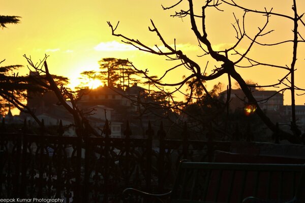 Tramonto tardivo. Sole giallo