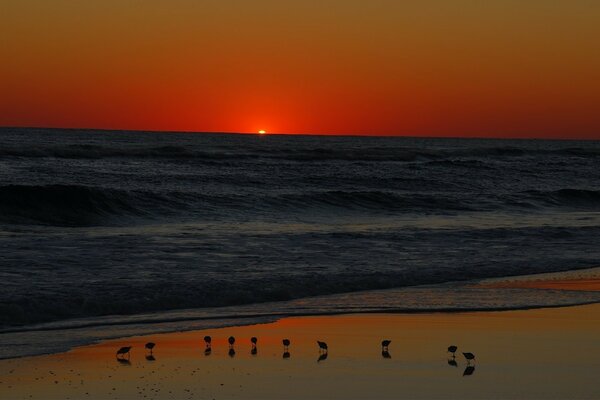 Puesta de sol roja y mar infinito