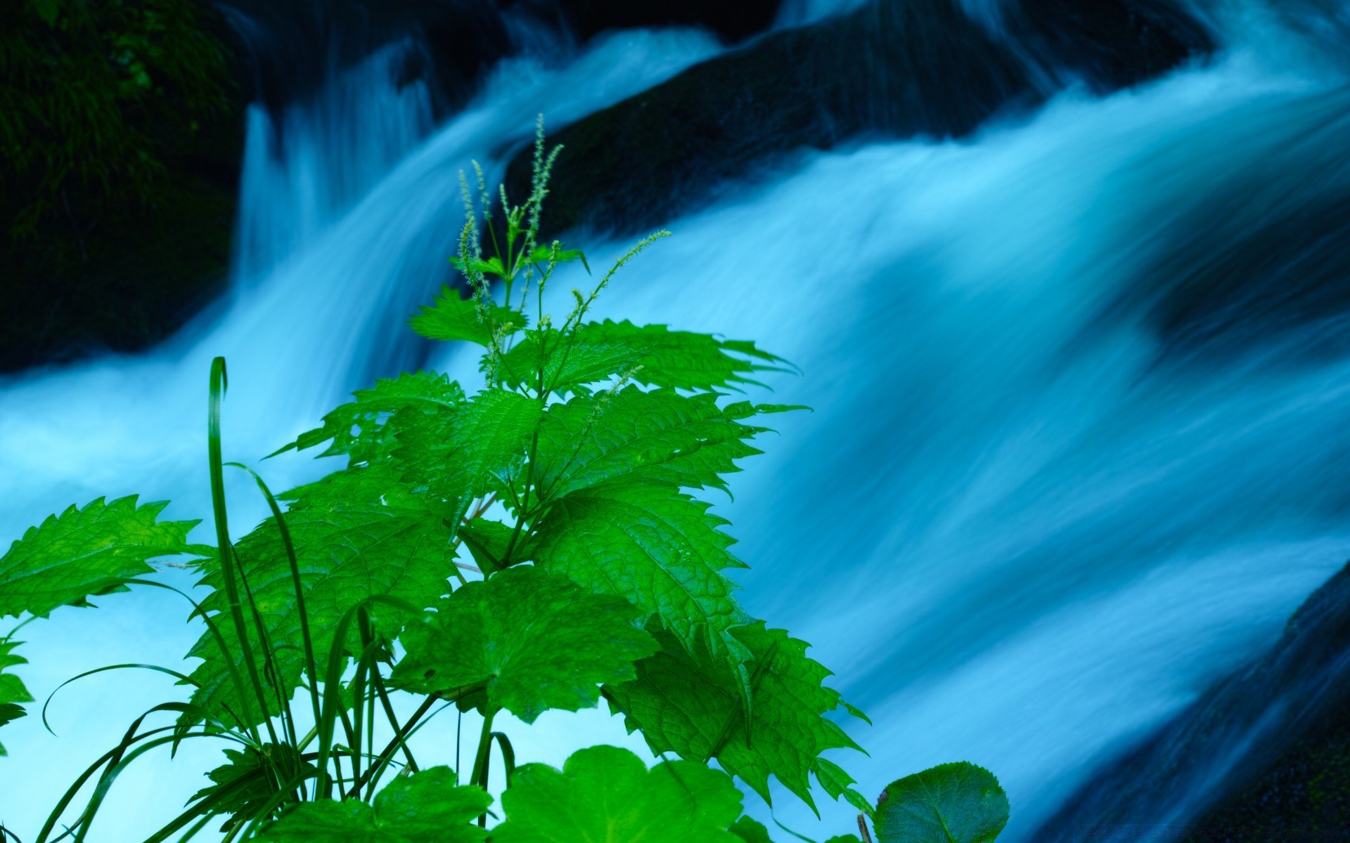 cascadas hoja naturaleza agua al aire libre madera flora verano luz árbol sol