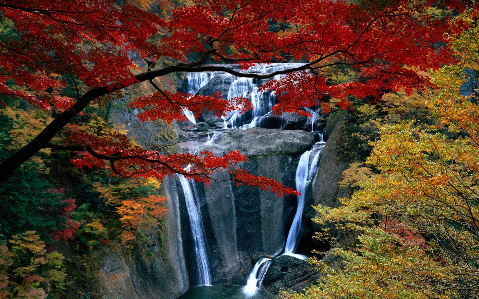 cascadas otoño hoja madera arce árbol paisaje naturaleza al aire libre parque escénico corriente temporada río agua exuberante medio ambiente paisaje