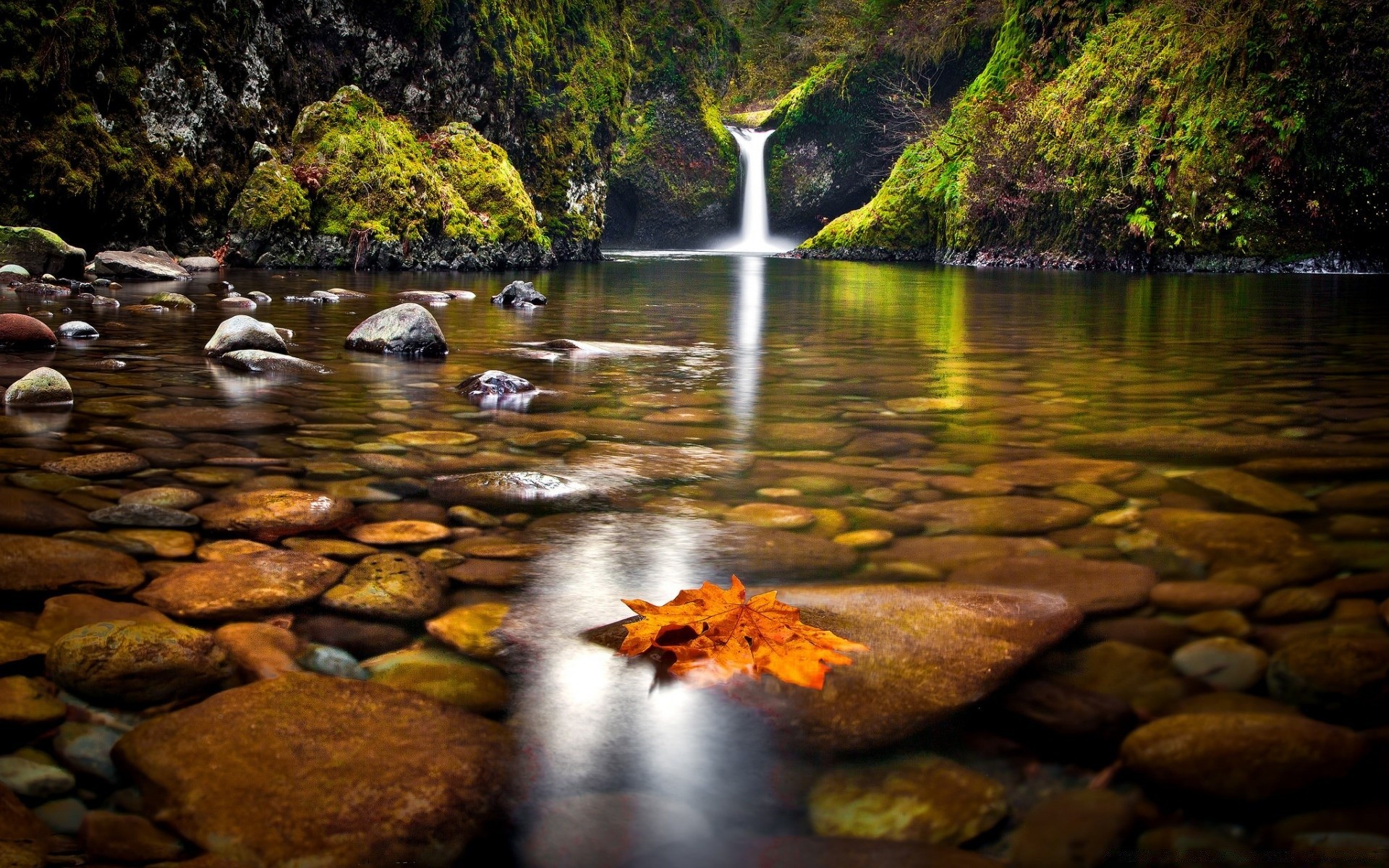 cascate acqua autunno fiume flusso cascata natura foglia all aperto legno albero flusso roccia viaggio creek cascata parco paesaggio traffico bagnato