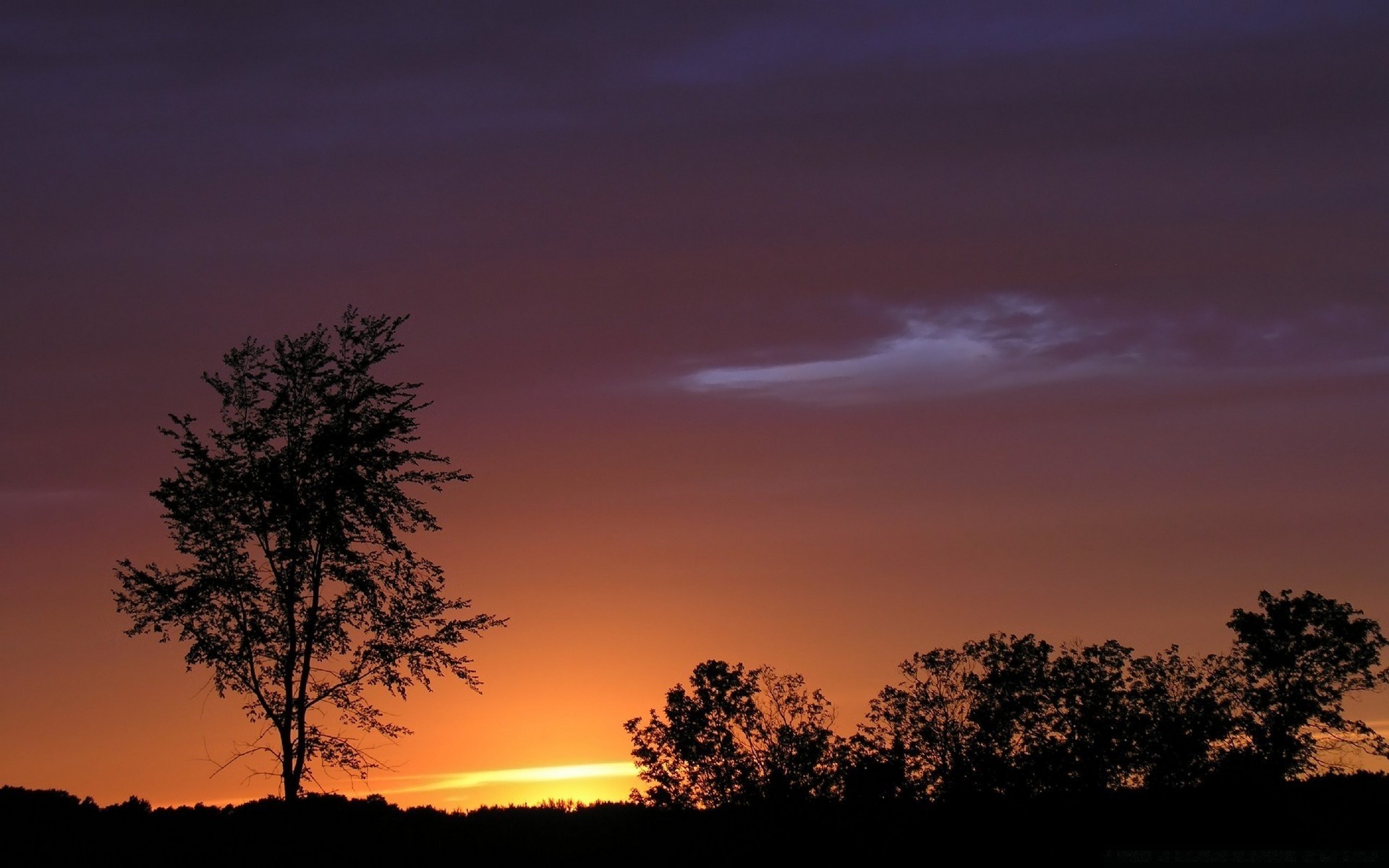 ciel coucher de soleil aube soir silhouette ciel crépuscule soleil nature rétro-éclairé à l extérieur paysage arbre beau temps plesid