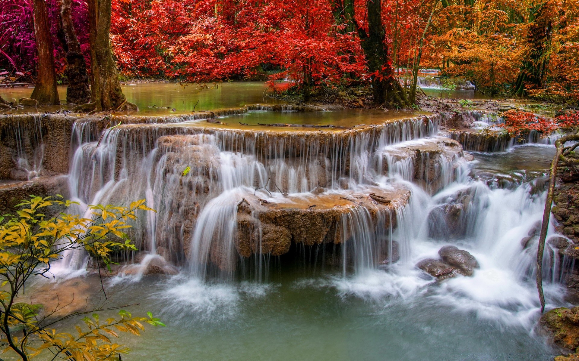 cascate autunno cascata acqua fiume flusso foglia natura cascata flusso creek legno rapids all aperto paesaggio traffico slick roccia fotografia parco