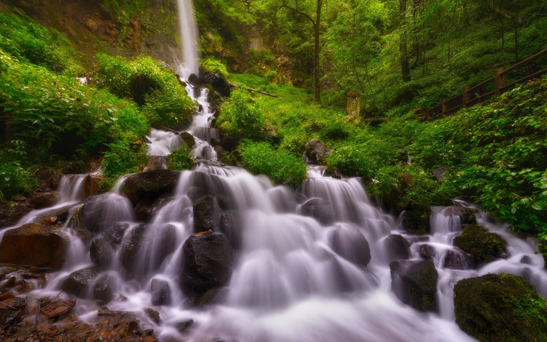 wodospady wody wodospad strumień rzeka natura drewno jesień na zewnątrz rock kaskada czystość mech podróż mokry krzyk liść rapids ruch dziki