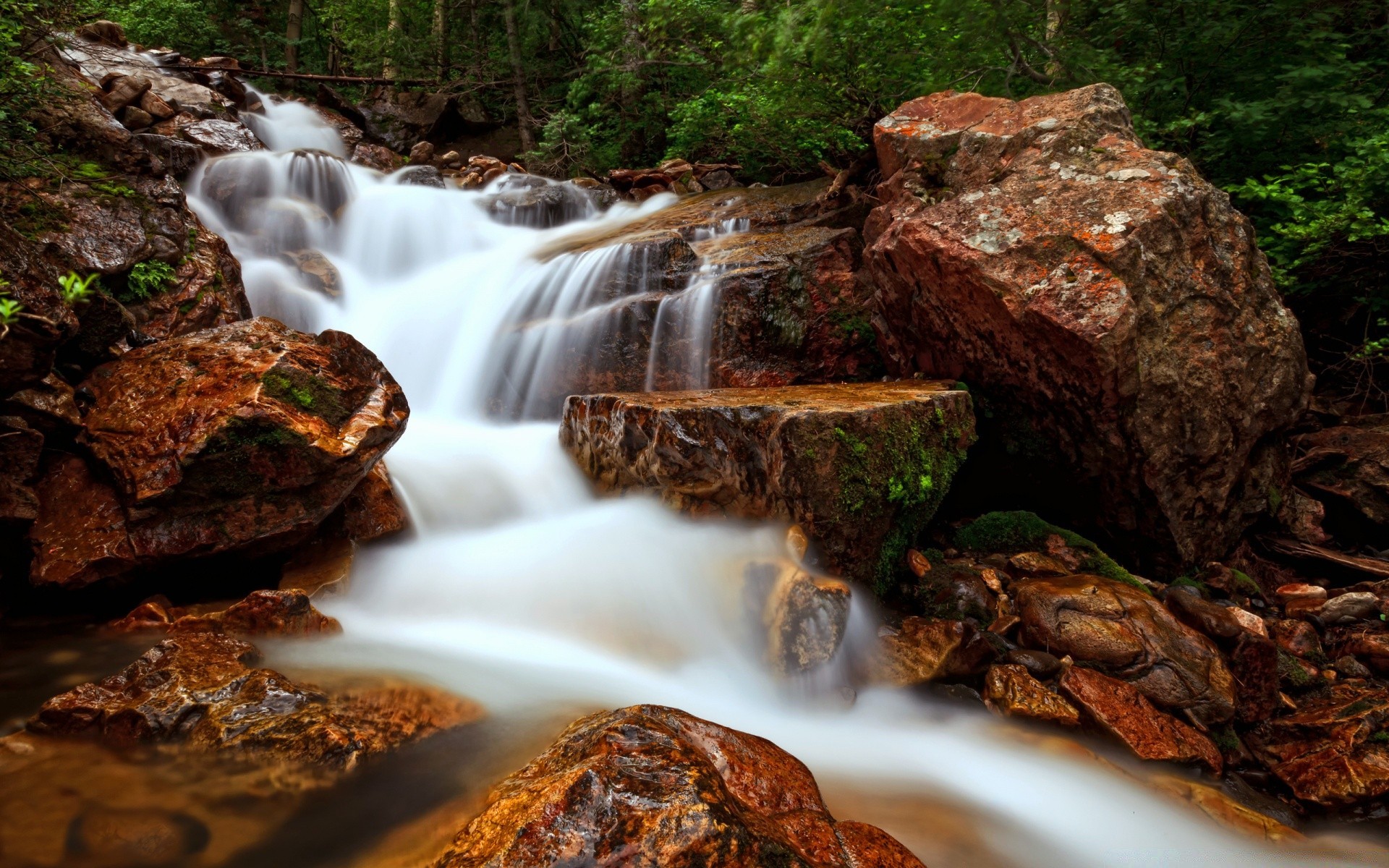 cascate legno flusso cascata natura