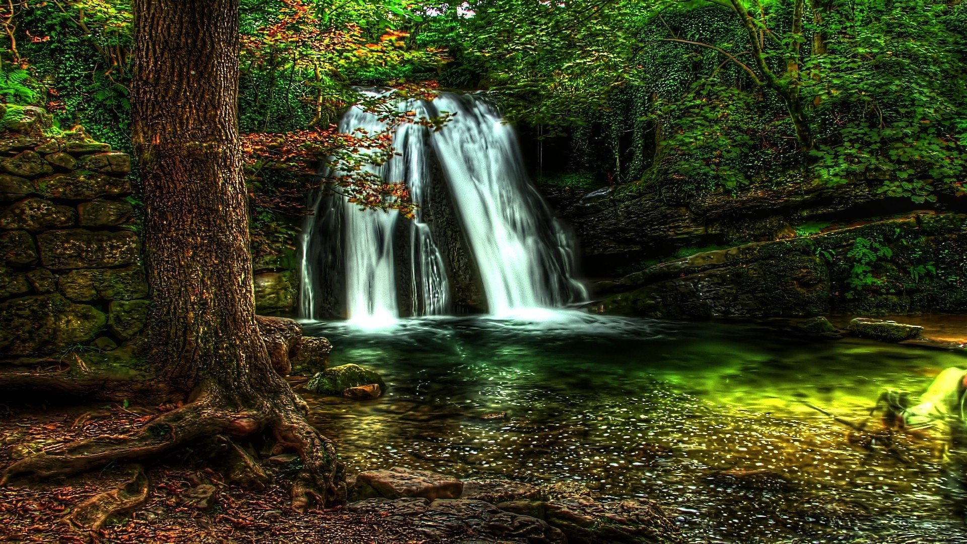 waterfalls wood water waterfall nature leaf landscape fall tree river stream moss travel creek park outdoors cascade environment wet scenic