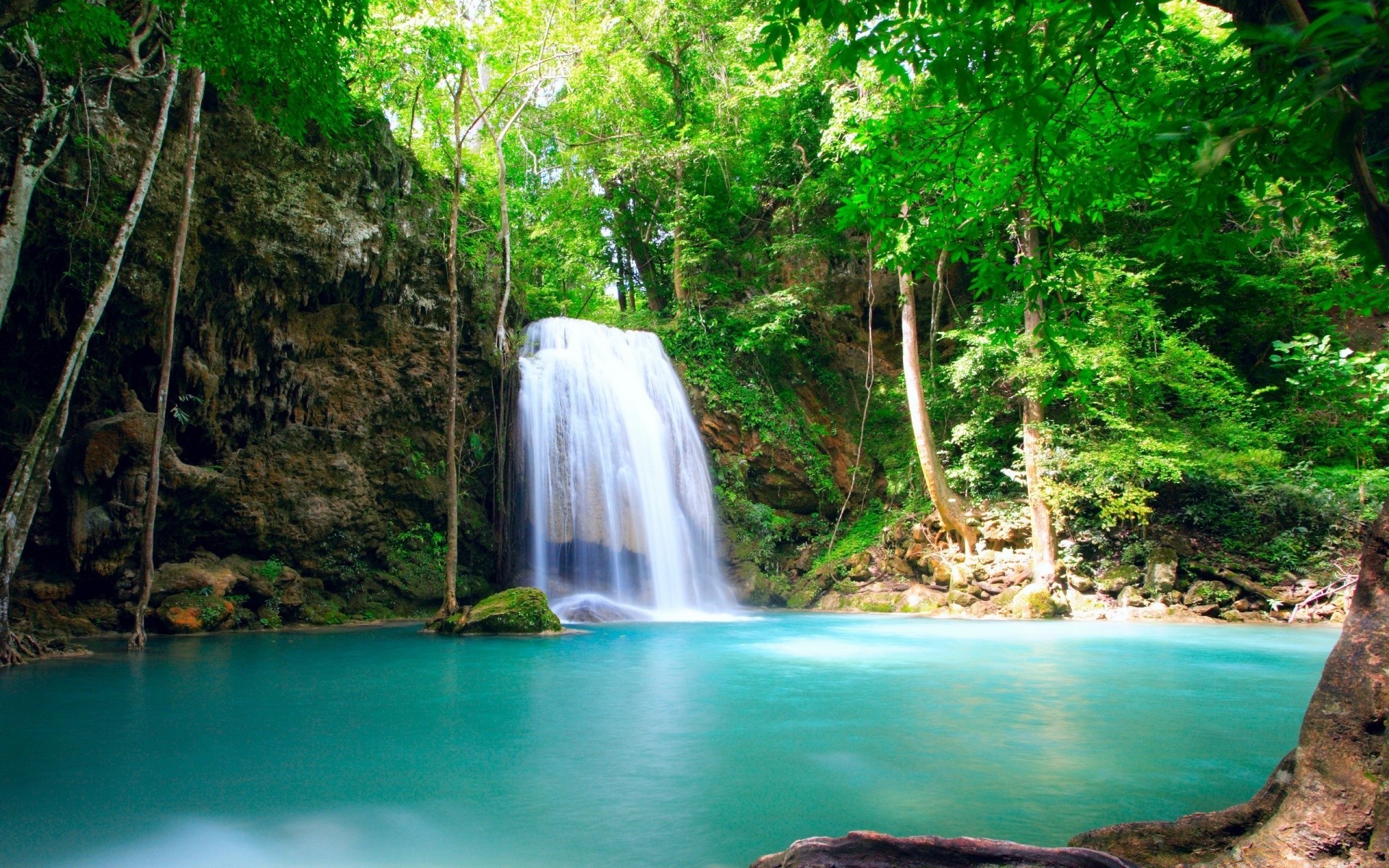 cascades eau cascade tropical nature bois flux voyage feuille ruisseau rivière paysage arbre été paradis cascade à l extérieur rock jungle mouvement