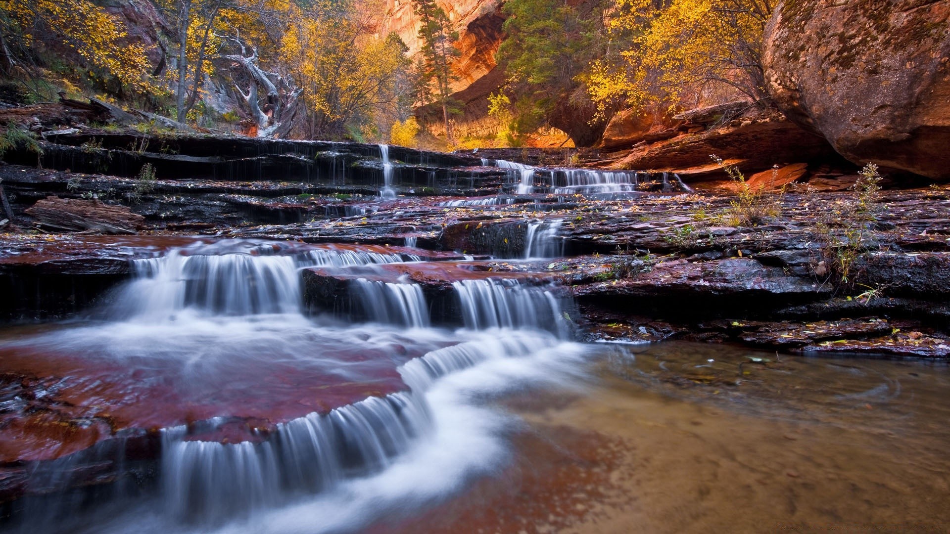 cascades eau cascade rivière automne ruisseau nature paysage voyage trafic rock cascade ruisseau à l extérieur bois - rapids ruisseau scénique photographie parc