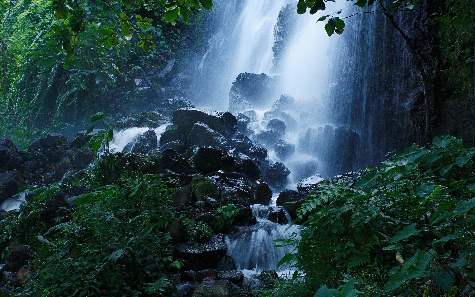 cascadas cascada agua río madera corriente naturaleza cascada roca al aire libre hoja viajes paisaje selva tropical otoño mojado corriente musgo pureza madera