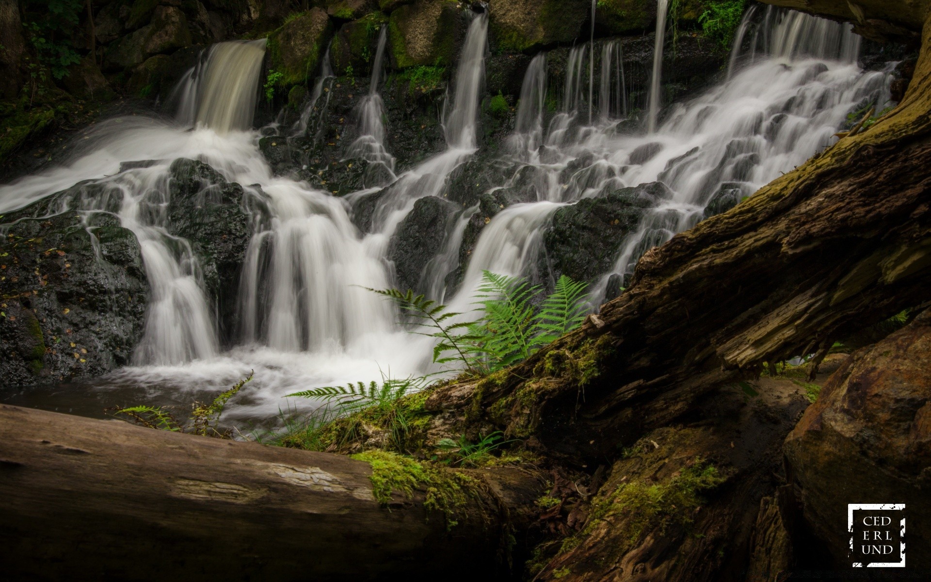 cascate acqua cascata natura legno all aperto flusso autunno fiume foglia viaggio roccia bagnato cascata purezza movimento selvaggio flusso muschio paesaggio