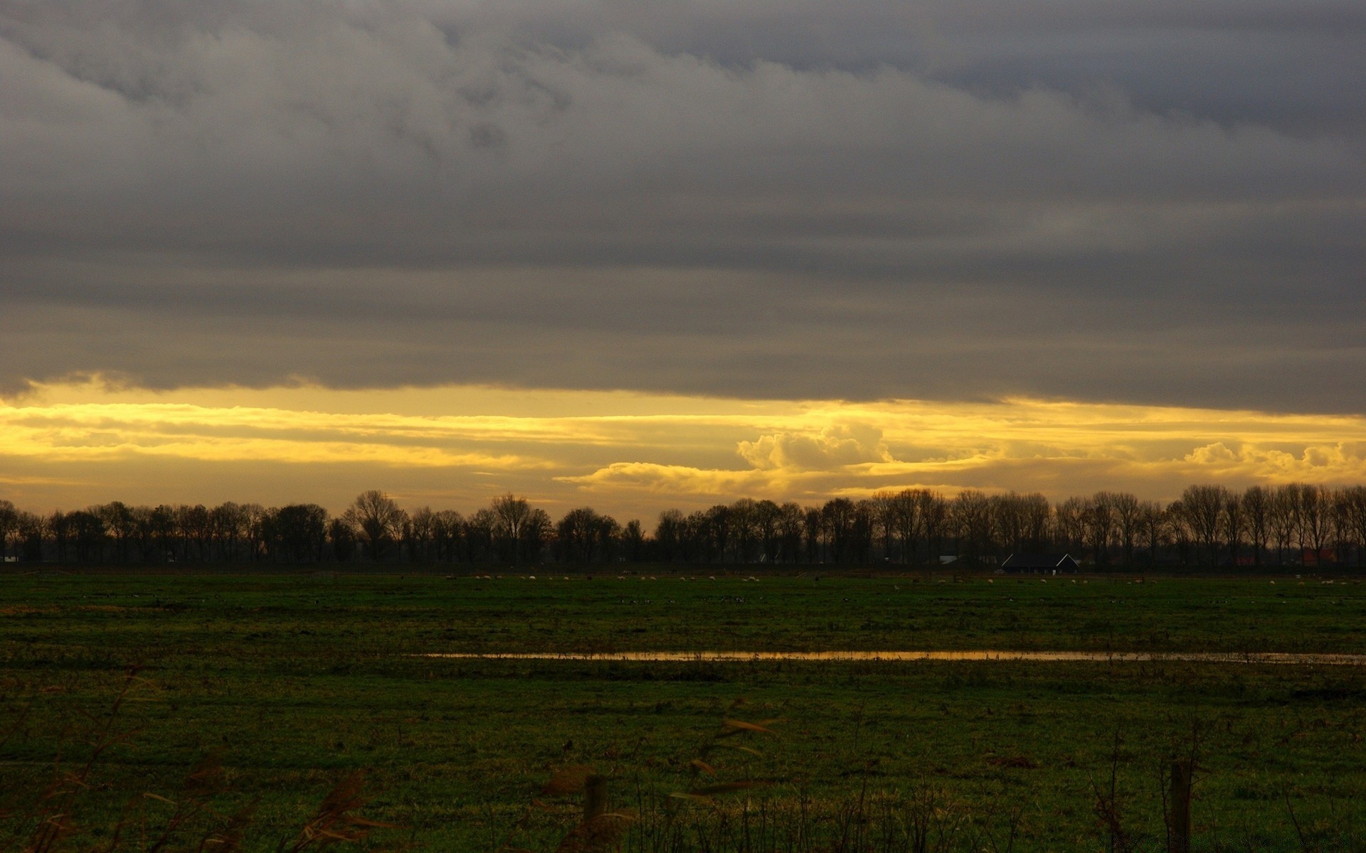 ciel paysage coucher de soleil aube arbre agriculture terres cultivées ciel en plein air nature automne champ ferme soir brouillard lumière campagne