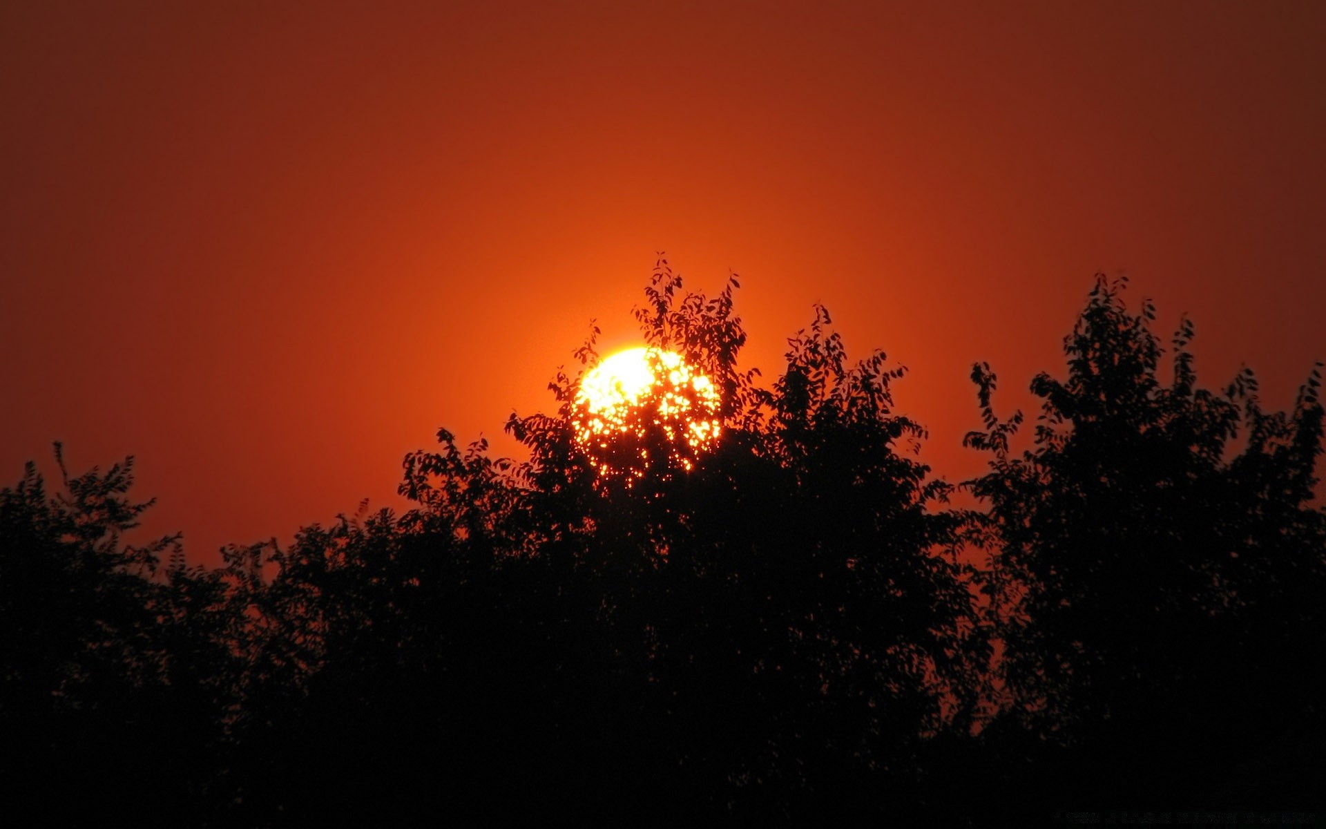 ciel coucher de soleil aube soleil soir crépuscule silhouette rétro-éclairé ciel beau temps nature lumière lumineux lune à l extérieur brouillard