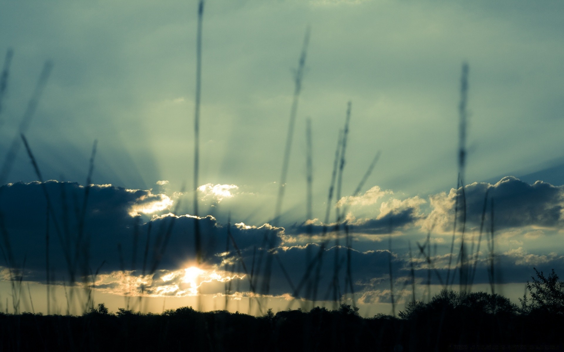 cielo cielo paesaggio vento tramonto elettricità energia potenza ambiente sole smerigliatrice alba silhouette industria natura tempesta mulino a vento luce produzione ecologia