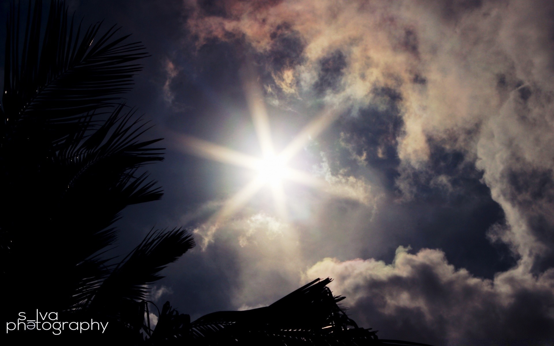 天空 太阳 日落 天空 好天气 黎明 户外 晚上 自然 天气 剪影 黑暗 光明