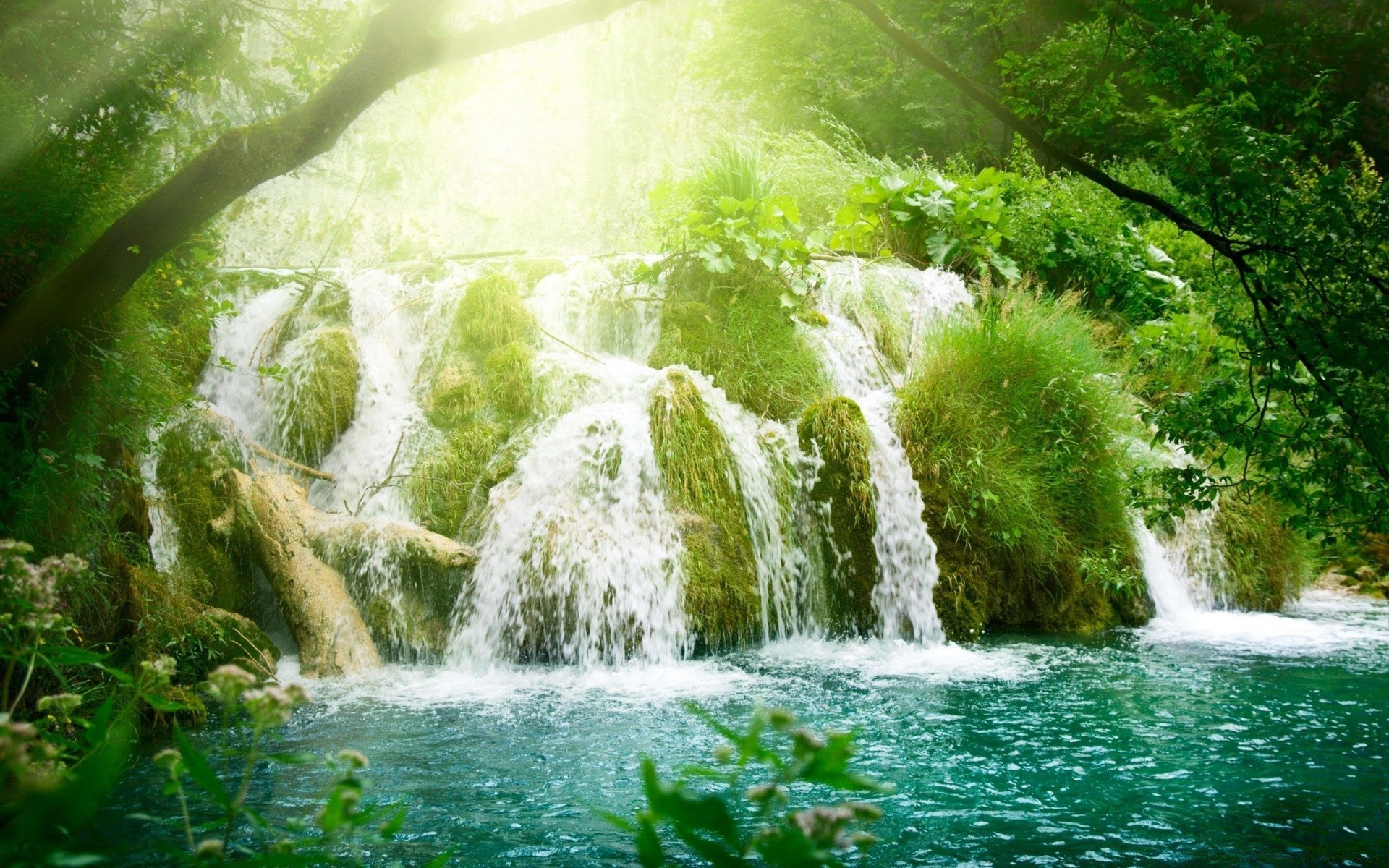 waterfalls water waterfall nature wood river leaf summer outdoors cascade landscape environment stream wet rock park splash travel tropical beautiful