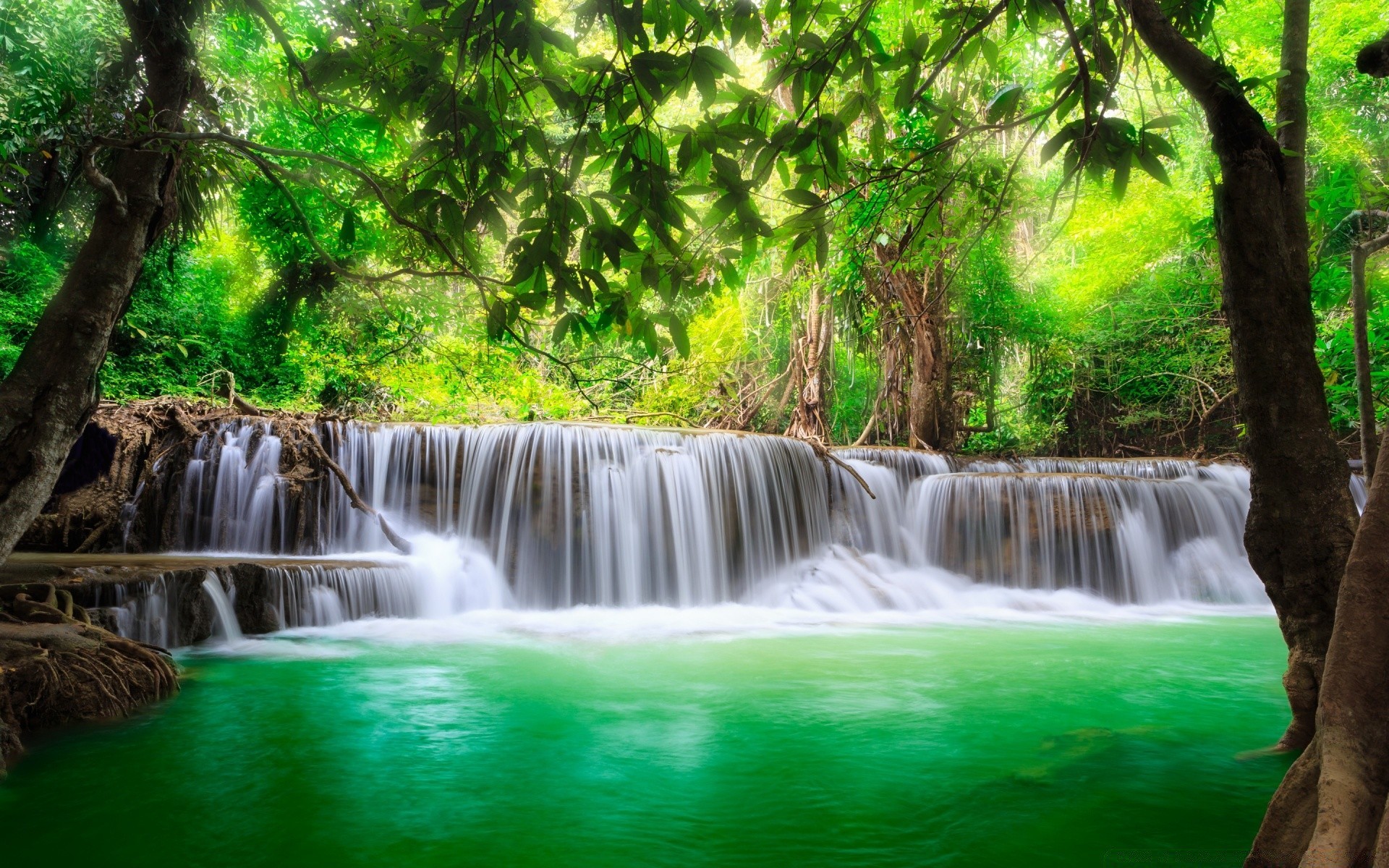 cascate acqua cascata natura legno flusso flusso tropicale traffico cascata fiume paradiso viaggi foglia giungla all aperto roccia splash parco bella