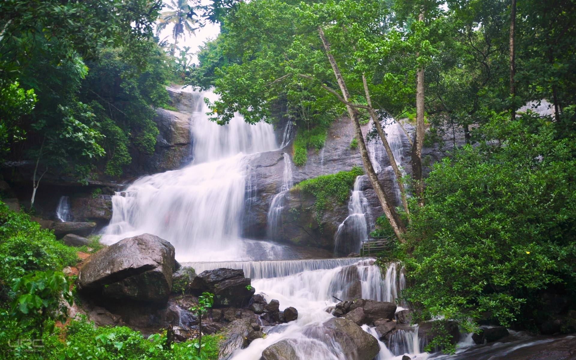 waterfalls waterfall water nature stream wood cascade river leaf stone landscape travel summer rock tree outdoors flow environment park jungle