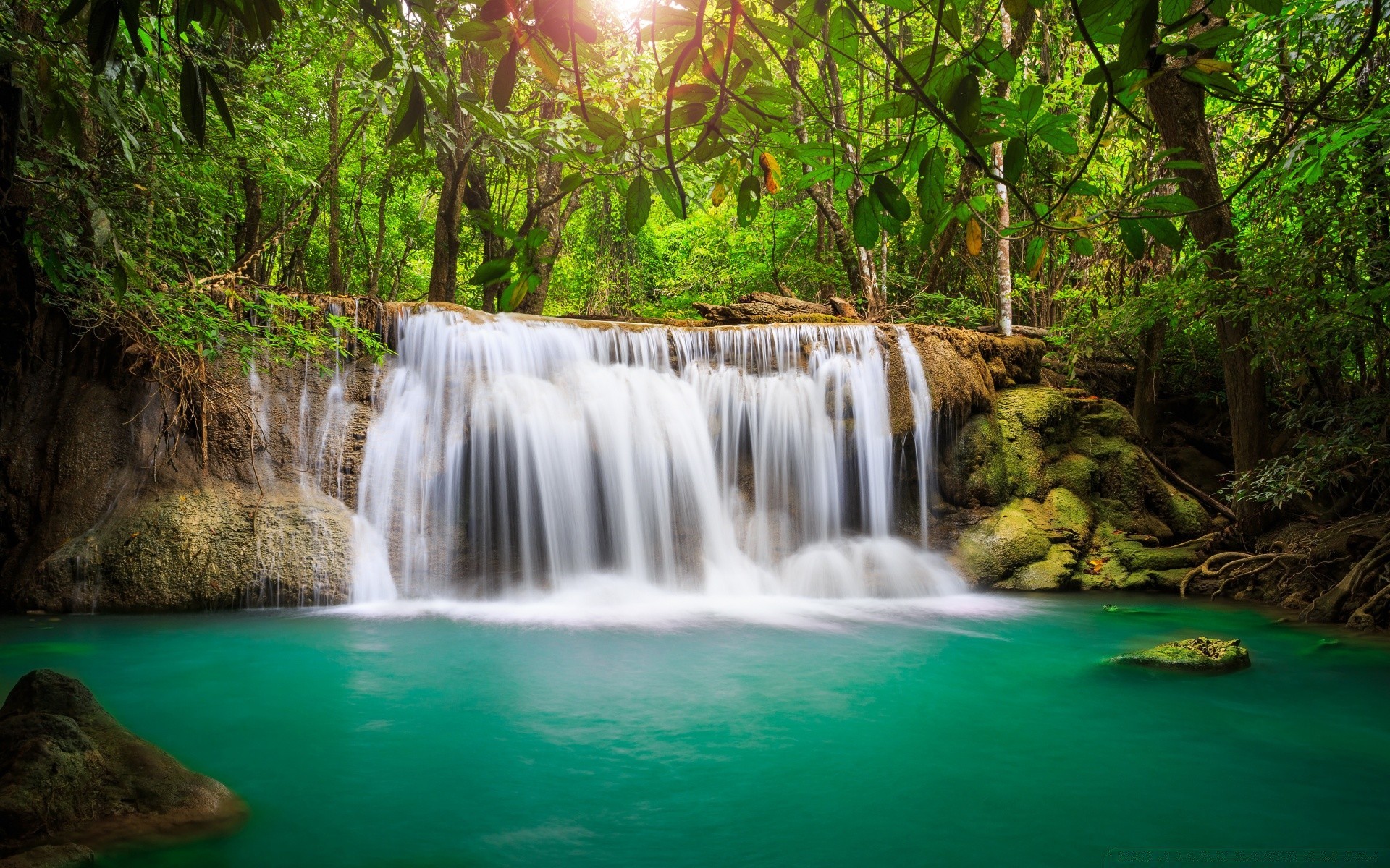 cascades eau cascade nature bois ruisseau rivière feuille tropical cascade à l extérieur voyage ruisseau rock propreté mouvement humide automne jungle bois