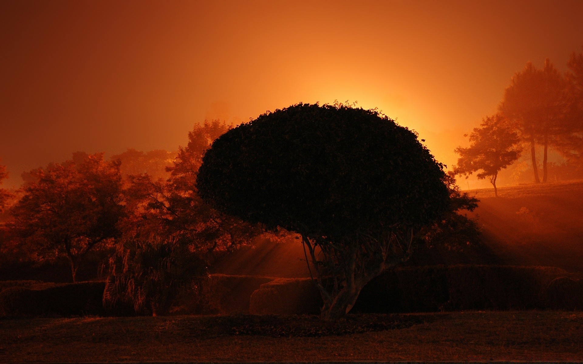 céu pôr do sol amanhecer iluminado silhueta noite paisagem árvore névoa sol crepúsculo céu luz ao ar livre deserto água