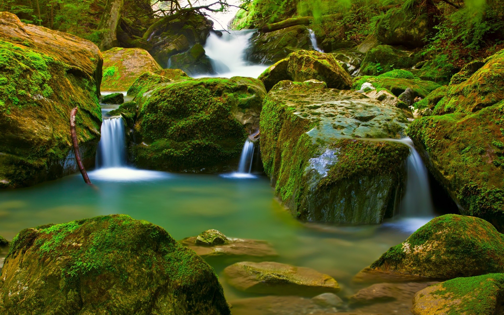 waterfalls waterfall water moss river stream leaf cascade nature rock wood creek fall travel motion outdoors flow lush