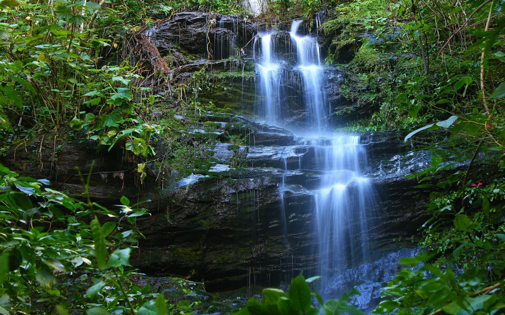 waterfalls water nature wood waterfall leaf river stream motion tropical outdoors rock environment landscape travel cascade tree wild wet summer