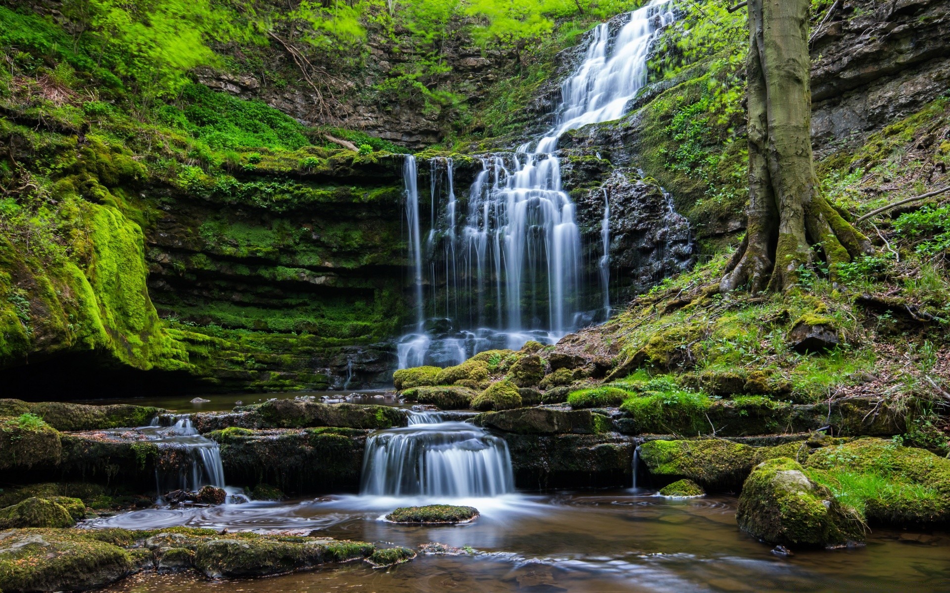 cascadas cascada agua río corriente naturaleza madera roca otoño cascada musgo paisaje al aire libre salvaje hoja grito viajes montaña mojado corriente