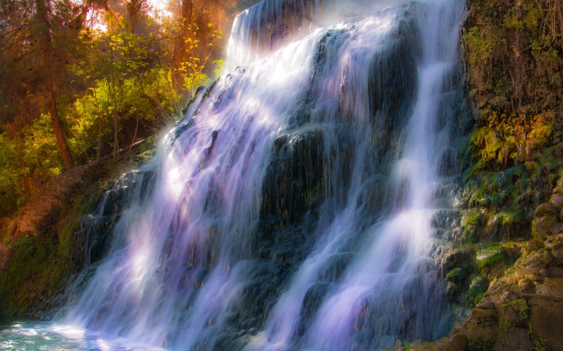 cascadas cascada agua naturaleza río corriente otoño madera cascada paisaje roca movimiento al aire libre viajes corriente salvaje hoja mojado grito limpieza