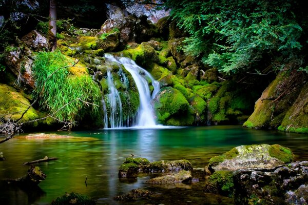 Der Wasserfall fließt in den Fluss. Die Natur