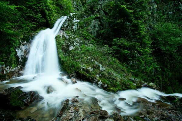 Schäumender Wasserfall des Gebirgsflusses