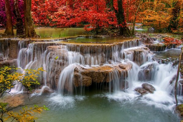 Paesaggio di cascata nella foresta d autunno