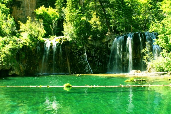 Green water. Beautiful nature