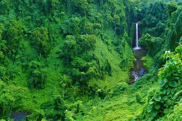 Cascada entre el verde de los bosques