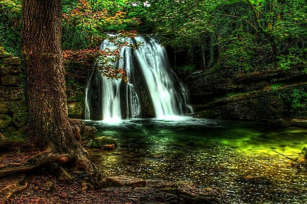 Hermosa cascada en medio del bosque