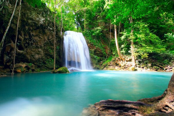 A paradise in nature with a waterfall