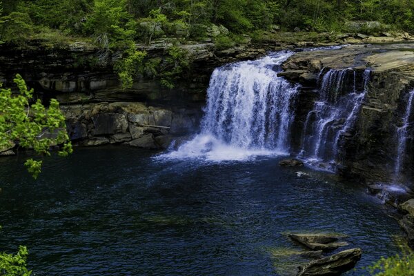 Image d une belle cascade dans la forêt