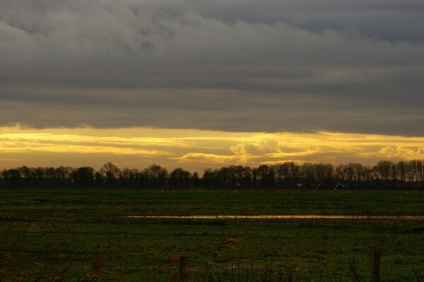 Un bel paesaggio. Alberi all alba