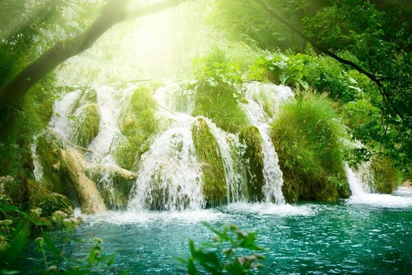 Cascades de la jungle sauvage