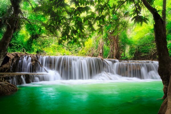 A beautiful waterfall among the trees. Fascinating waterfall