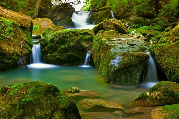 Ein schöner Ort mit Wasserfällen, der mit Moos bewachsen ist