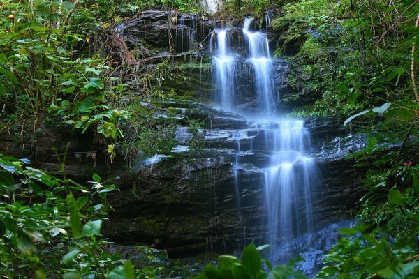 Une pluie tropicale a créé une cascade