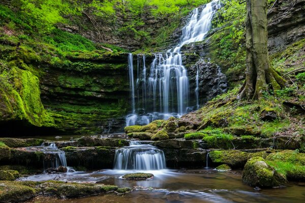 High cascading waterfall landscape