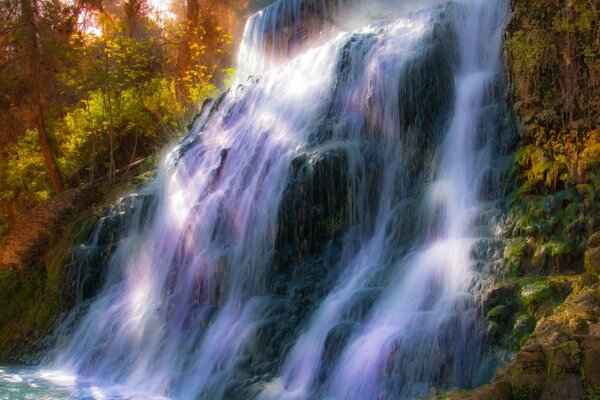 The waterfall in the wild is very beautiful