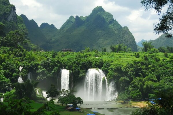 Viaje a la fauna de la cascada