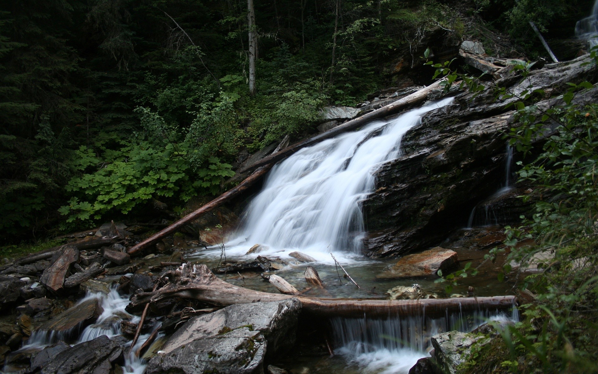 waterfalls water waterfall river stream wood landscape rock nature creek leaf mountain tree fall cascade travel flow outdoors moss motion