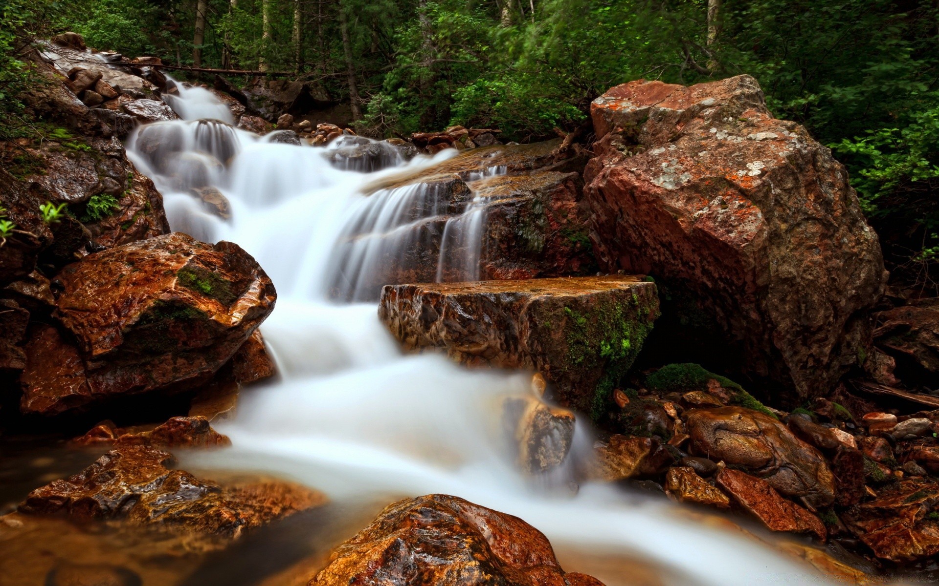 cascate legno cascata flusso natura