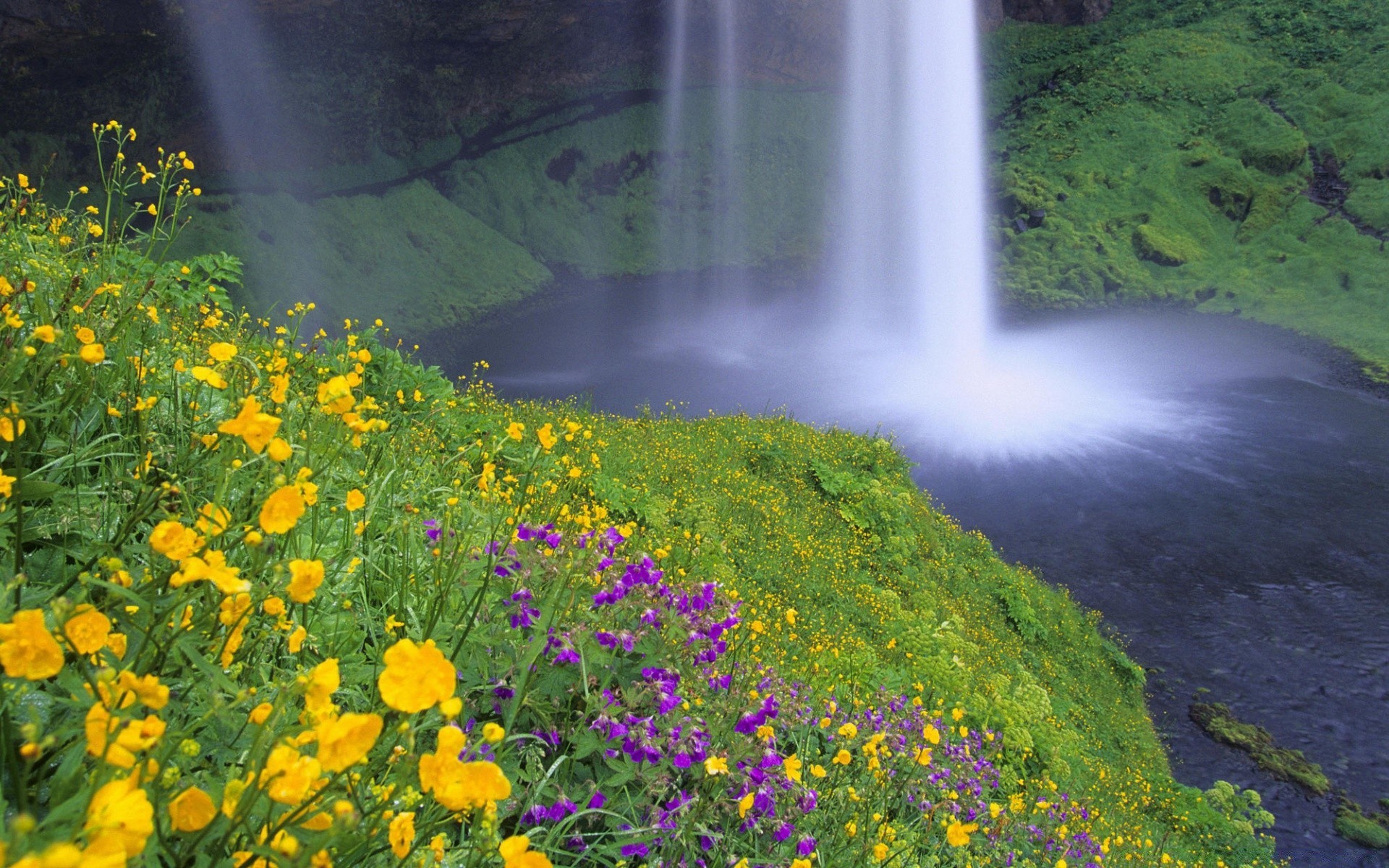 waterfalls nature outdoors landscape water summer wood travel flower grass scenic leaf tree mountain flora daylight environment wild idyllic river