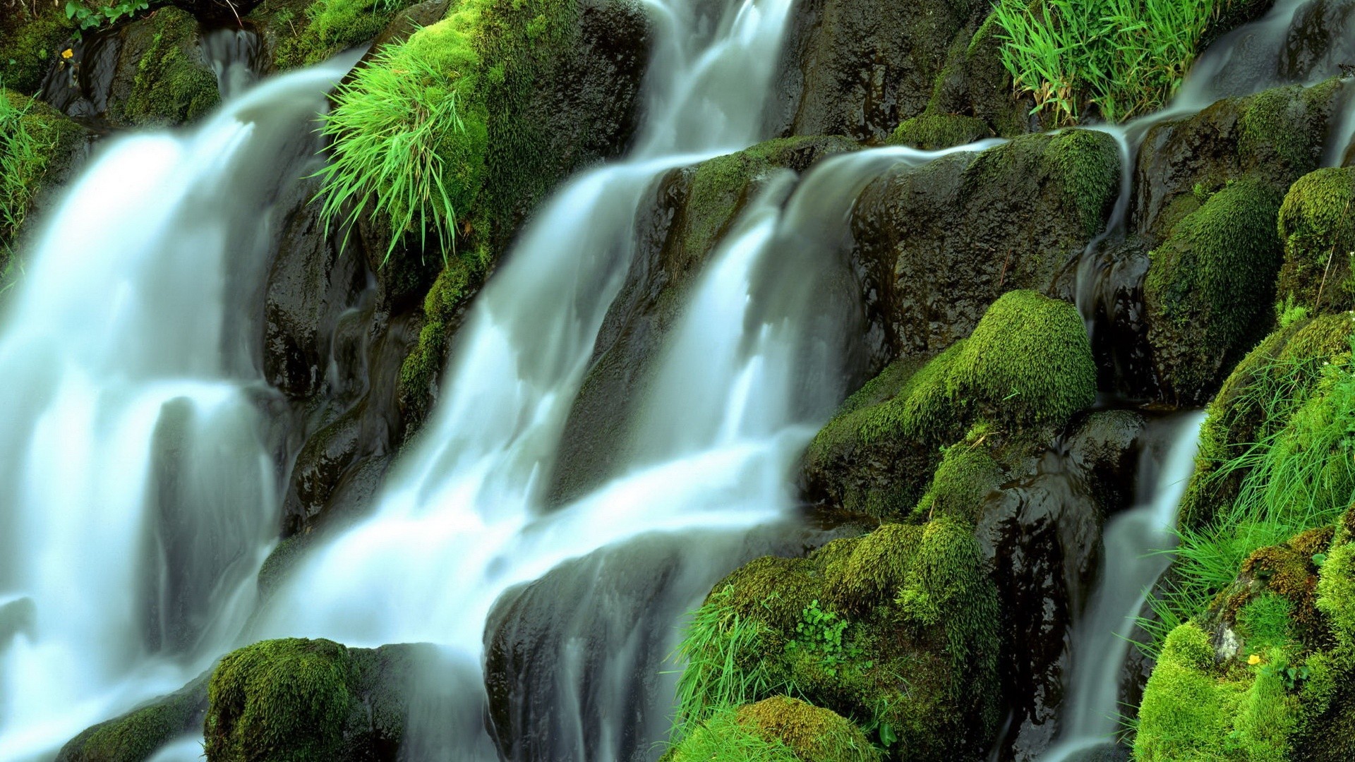 waterfalls waterfall water moss stream nature cascade wood river fall creek outdoors splash wet leaf rock flow purity blur wild