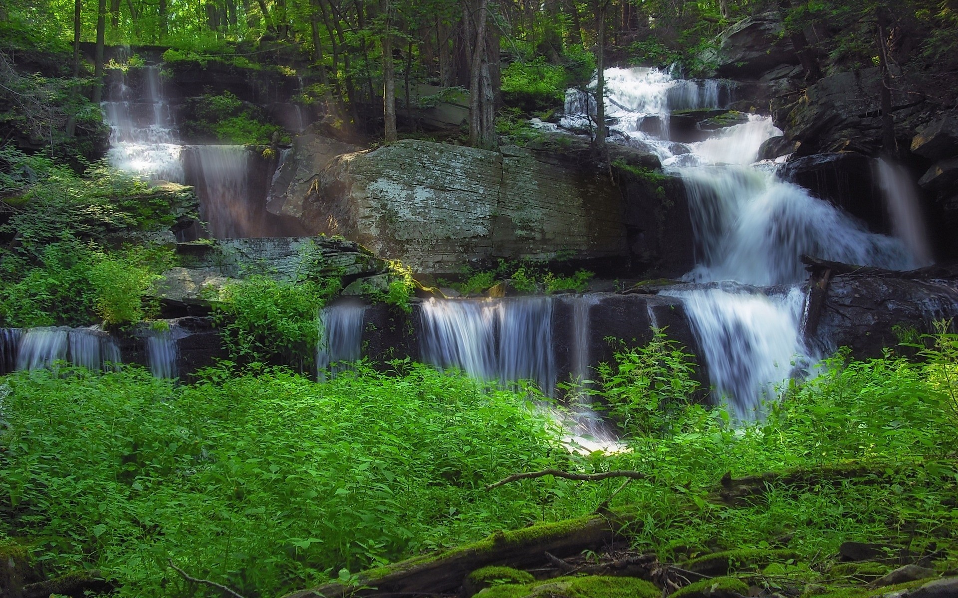 wodospady wody wodospad rzeka strumień natura liść drewna kaskada rock creek odkryty mokry krajobraz przepływ mech ruch podróżny dzikie lato