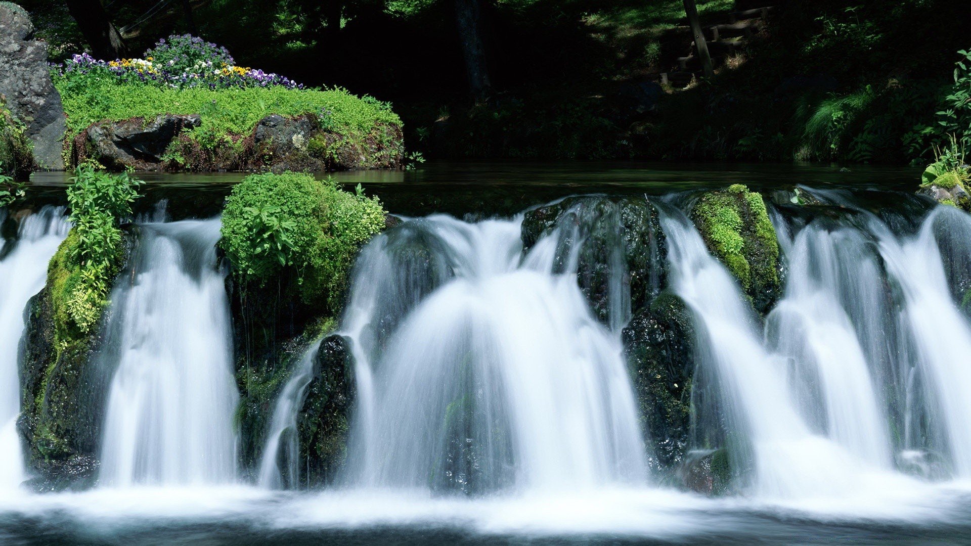 waterfalls waterfall water nature stream river cascade wood fall leaf purity motion flow moss outdoors wet rock clean travel slick