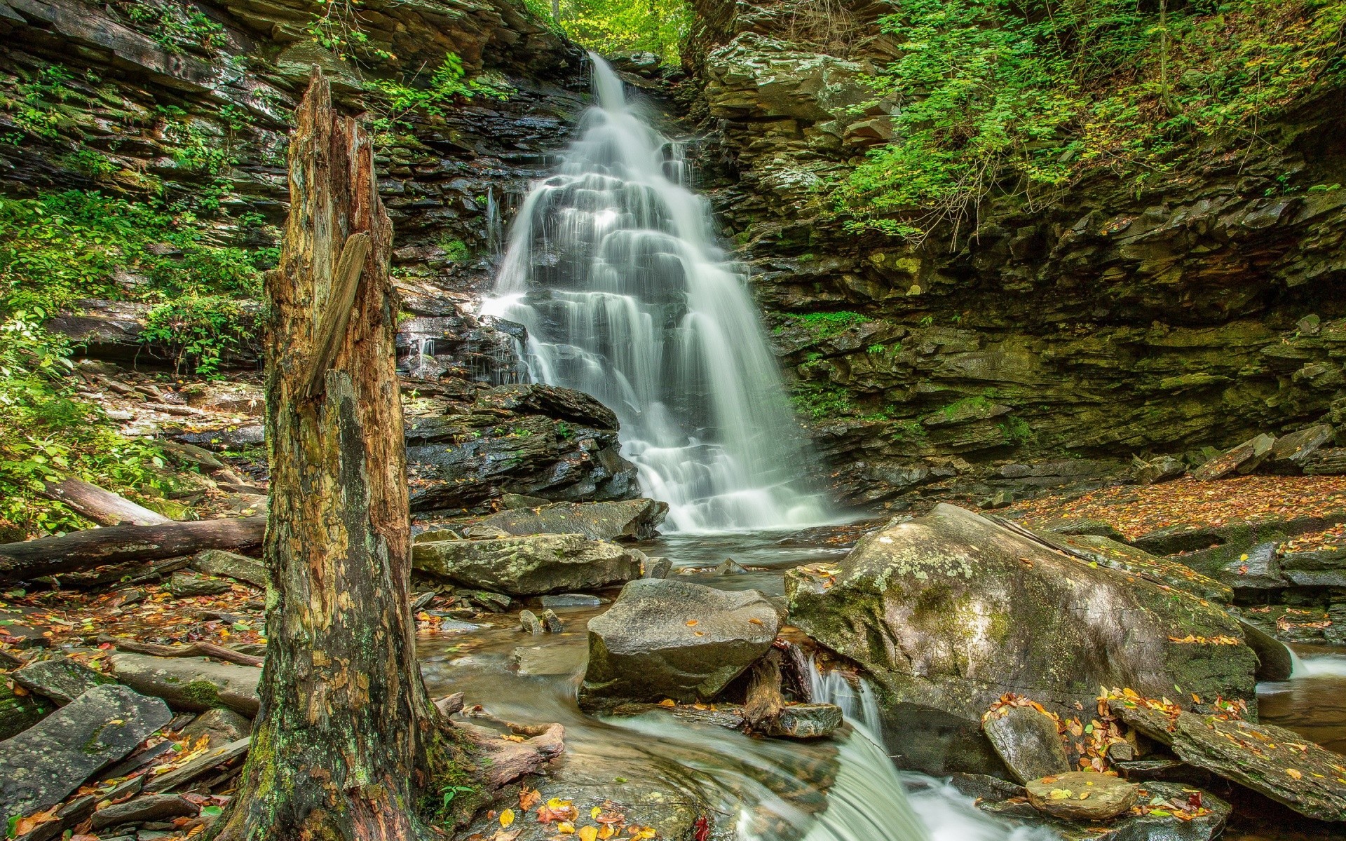 waterfalls waterfall water wood stream nature river moss cascade leaf rock creek fall flow landscape outdoors travel tree wild scenic